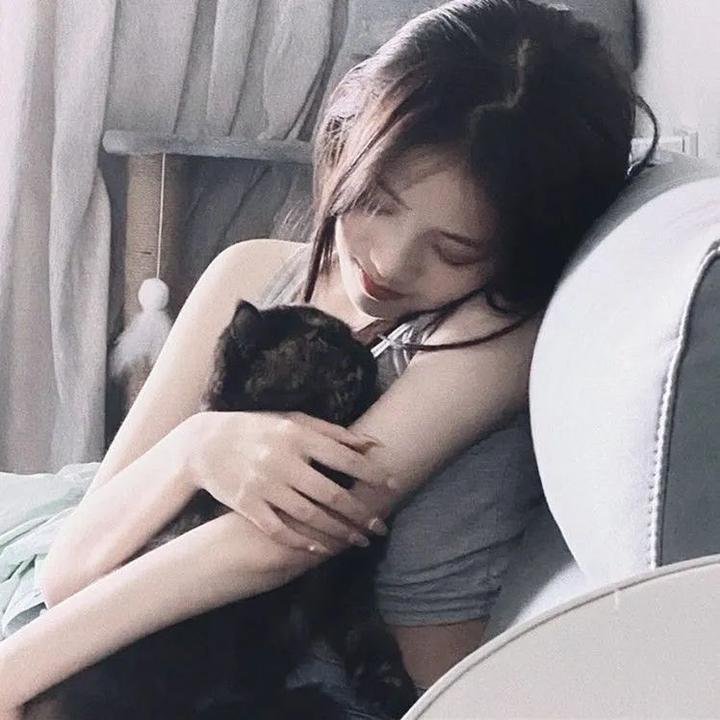 特洛伊奥德赛
