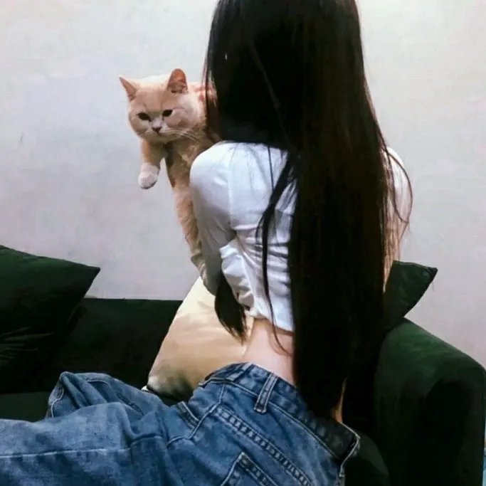 美丽破坏者第二季
